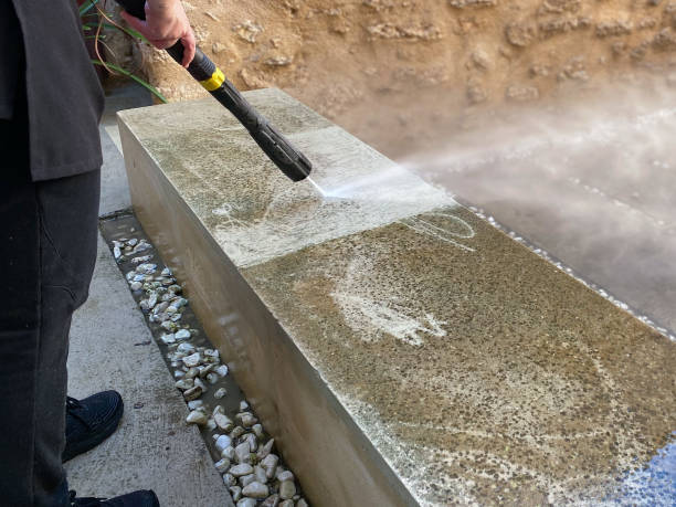 Best Roof Pressure Washing  in Fairmont City, IL