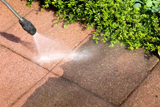 Best Concrete Pressure Washing  in Fairmont City, IL