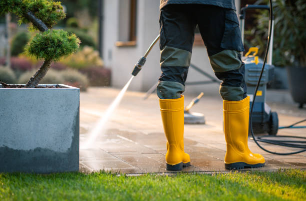 Best Exterior Home Cleaning  in Fairmont City, IL